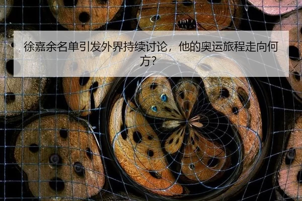 徐嘉余名单引发外界持续讨论，他的奥运旅程走向何方？（kaiyun）